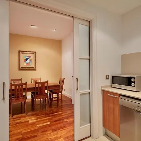 Classy 3Bd - 2Bth With Private Patio In Eixample Barcelona